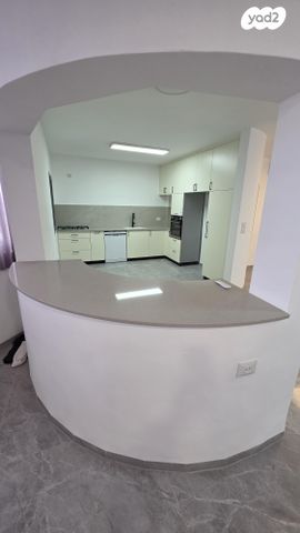 יהושע חנקין 91