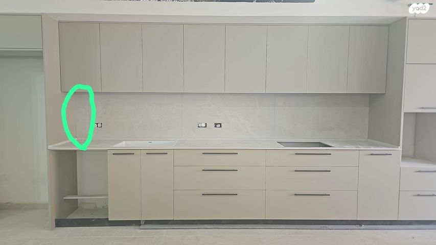 נתן ברניצקי 9