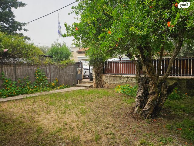 חיים נחמן ביאליק 12