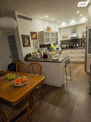 אריה דיסנצ'יק 18