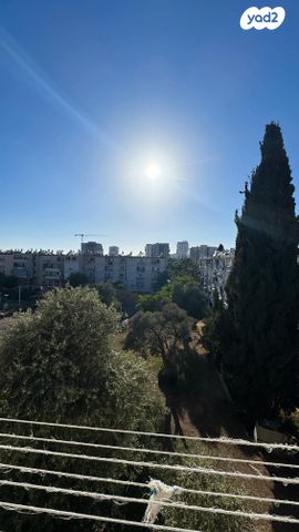 הרב ברזני סלומון 9