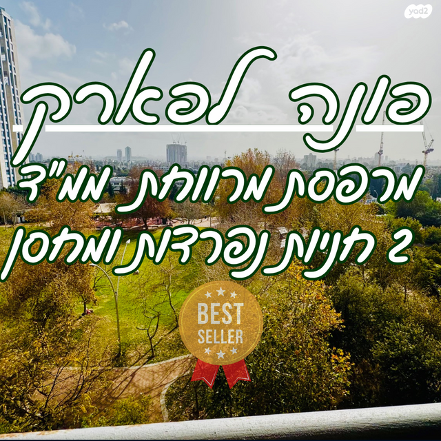 שמעון בן צבי 