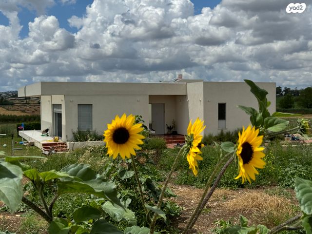 כביש העיגול 