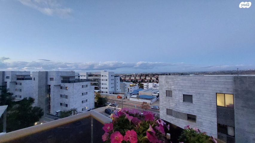 אלברט איינשטיין 