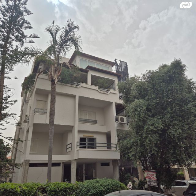 ד"ר מוסקוביץ' 