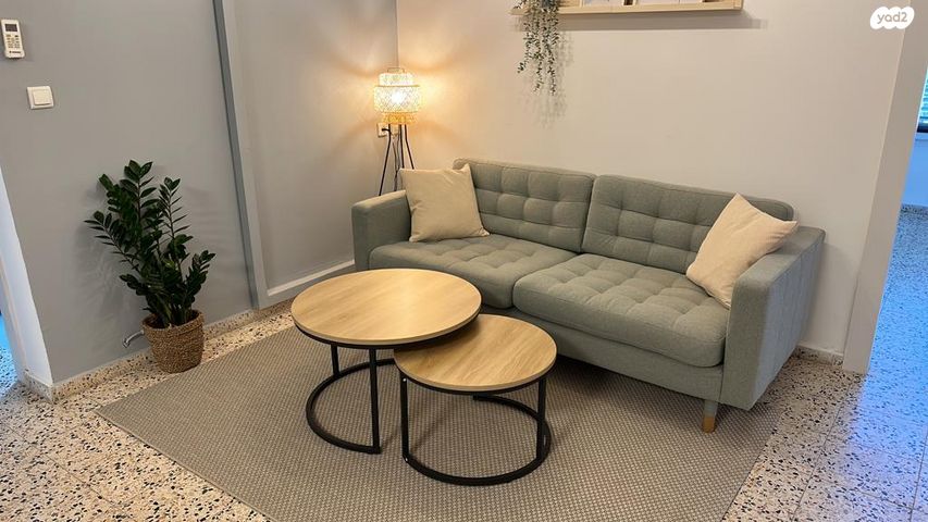 דוד וולפסון 20