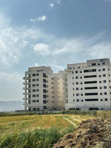 כינרת 