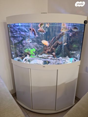 תמונת מודעה - חיות מחמד