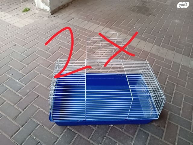 תמונת מודעה - חיות מחמד