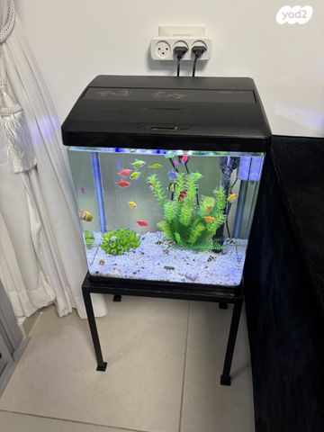 תמונת מודעה - חיות מחמד