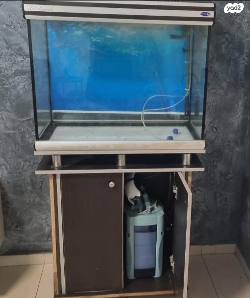 תמונת מודעה - חיות מחמד