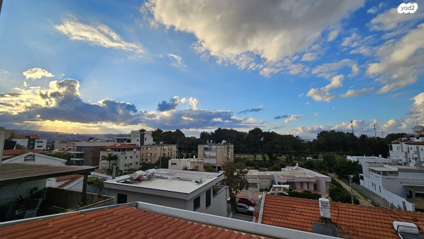 אלכסנדר זייד 18