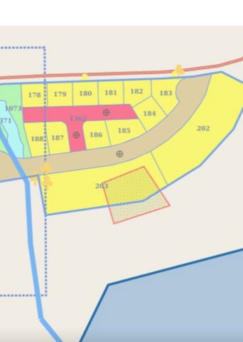 לובה אליאב 1