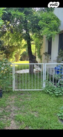 החשמונאים 15