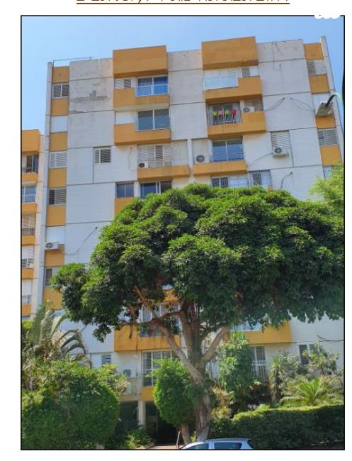 אבא אחימאיר 4