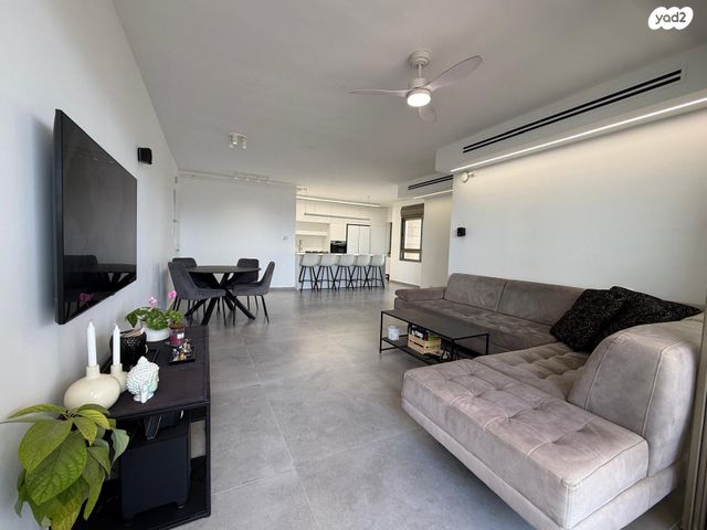 מעגל השלום 29