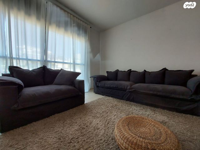 אלכסנדר פן 16