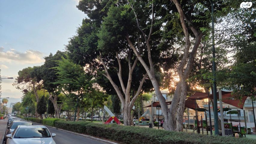 שדרות כצנלסון 27