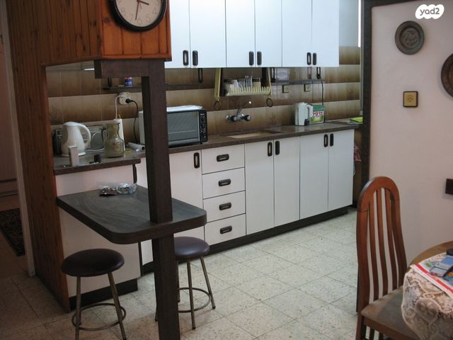 חיבת ציון 29