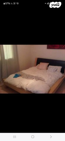 החשמונאים 38