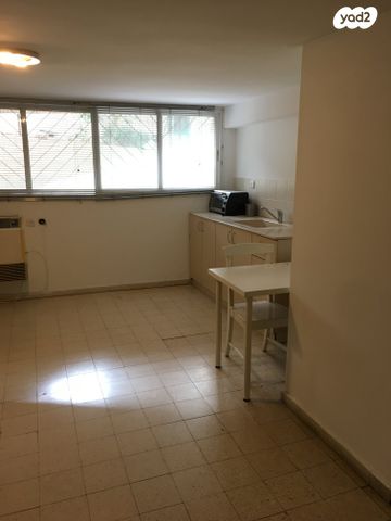 דוד רזיאל 29