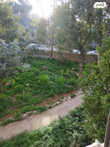 ברל כצנלסון 24