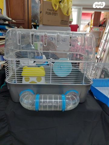 תמונת מודעה - חיות מחמד