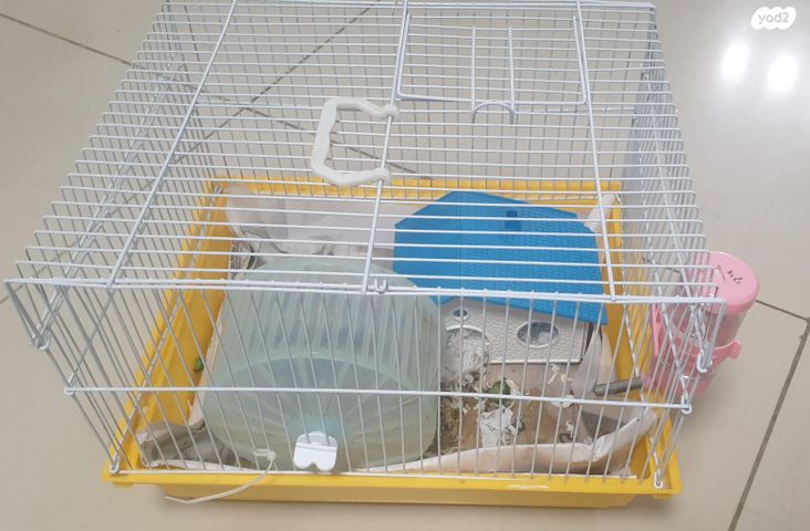 תמונת מודעה - חיות מחמד