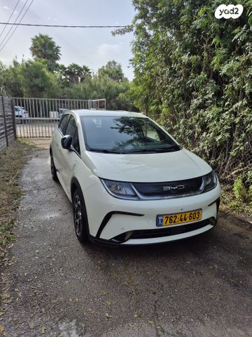 מודעת רכב בי.ווי.די דולפין