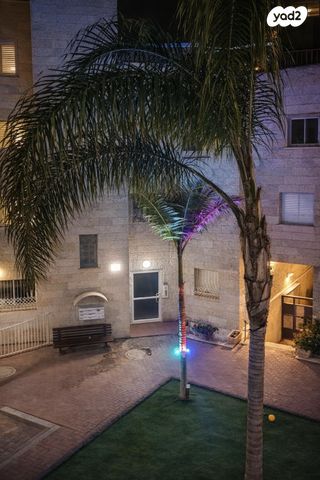 ישראל גלילי 19