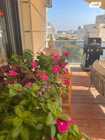 שדרות טום לנטוס 15