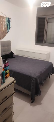 אפרים צור 10