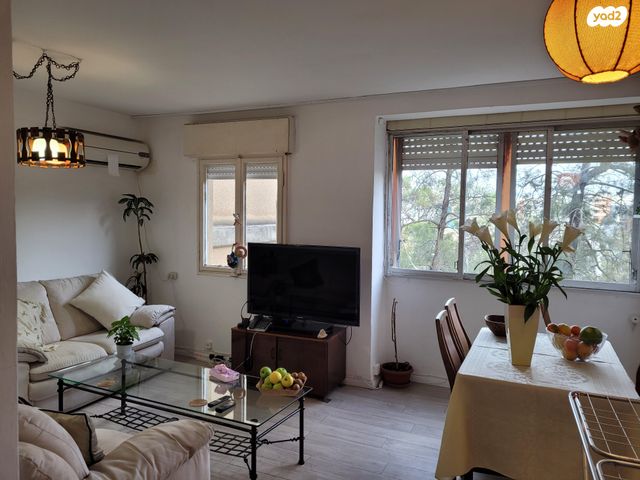 זלמן שניאור 24