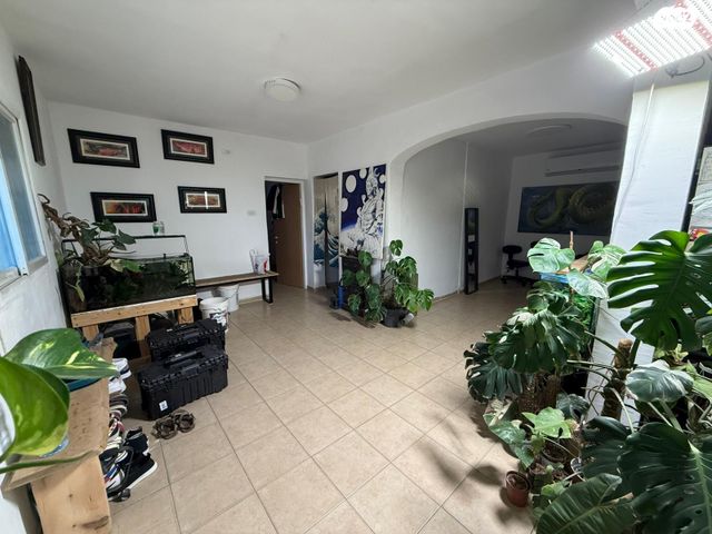 מורדי הגטאות 6