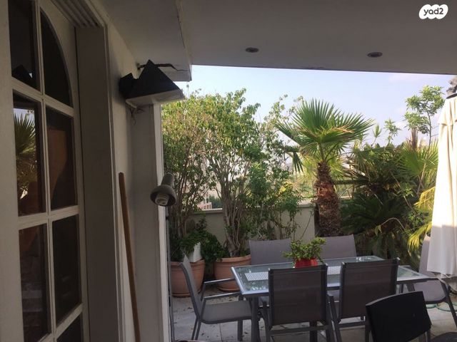 יהודה בורלא 46