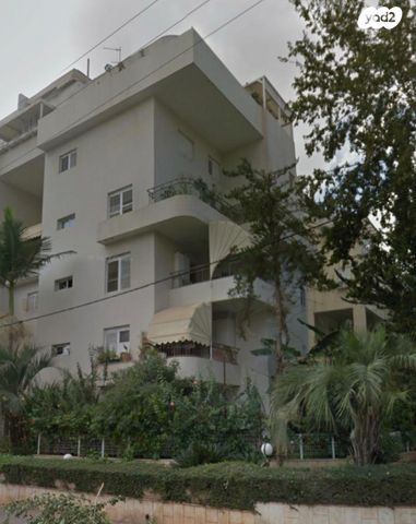 חיים סירני 41