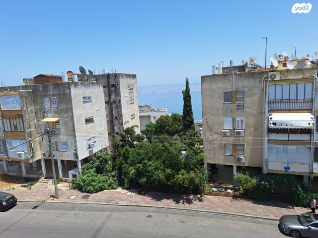 דוד אלעזר 21