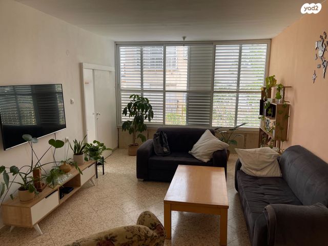 דוד וולפסון 27