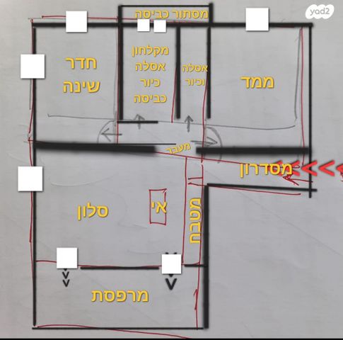 השושנים 13
