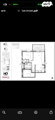 אלי מויאל 24