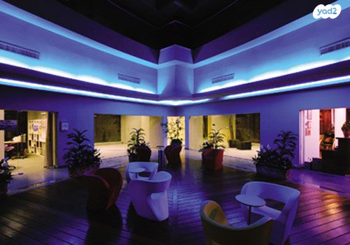 ז'בוטינסקי 50