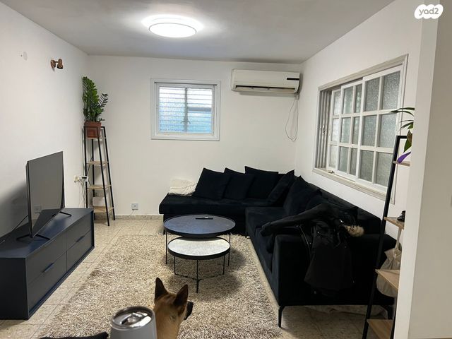 דוד אלרואי 10