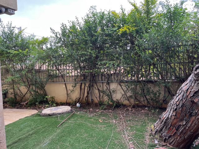 תבואות הארץ 50