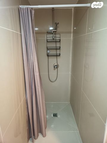 אריה מקלף 22