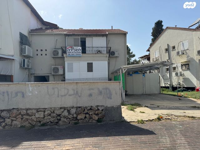 הפועל הצעיר 