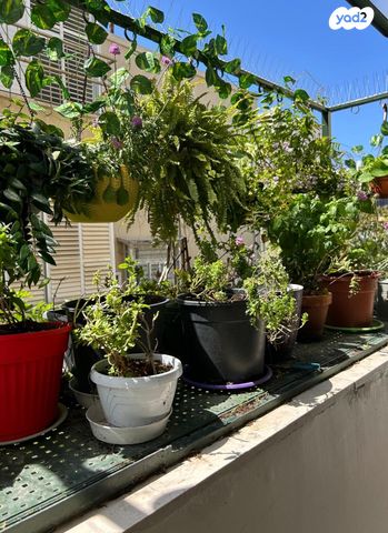 עובדיה מברטנורה 