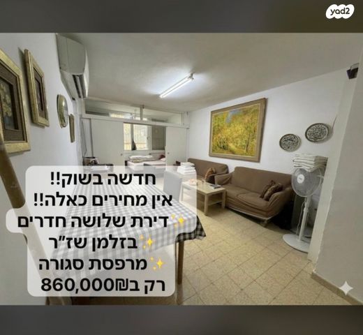 זלמן שז"ר 231