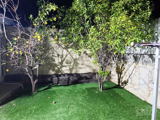 יסמין 18