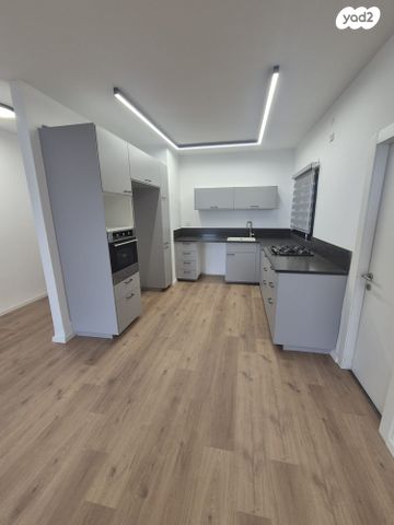 הרב אסף דוד 