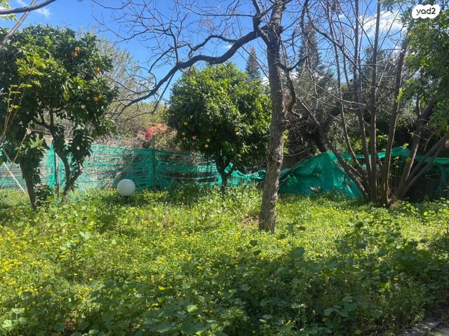 מרזוק ועזר 3